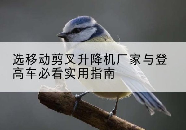 永定电动升降机厂家-选移动剪叉升降机厂家与登高车必看实用指南