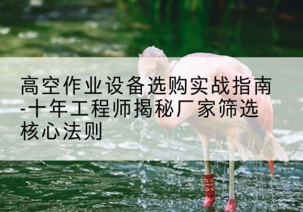 永定剪叉式升降机厂家-高空作业设备选购实战指南-十年工程师揭秘厂家筛选核心法则